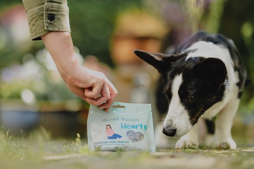 Globe Buddy Hund Snacks